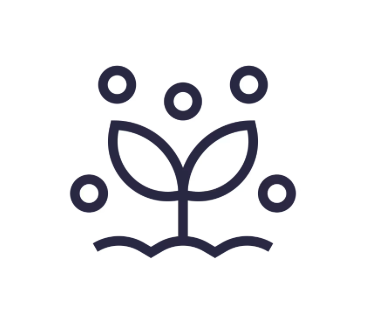 Nutrition Des Plantes